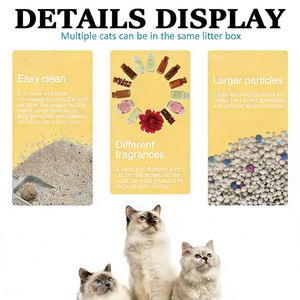 Litière pour chat de qualité, écologique, biodégradable, à base de bentonite, faible teneur en poussière, petites particules, agglomérante, désodorisante, 5 kg, marque Benjie, facile à utiliser - Product Image 4