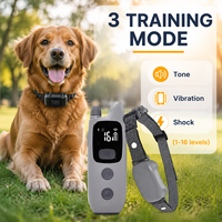 Collier de dressage pour chien à distance, étanche IPX7, 16 niveaux de choc, 180 jours d'autonomie avec clé de verrouillage pour l'obéissance canine - Vente Flash