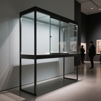 Nouveauté : Vitrine autoportante moderne à LED intégrée pour la présentation de bijoux et de collections de pièces de monnaie - Protection antistatique
