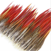 Vente en gros de queues de faisan doré naturel de 5 à 25 cm Plumes à pointe rouge pour coiffure de carnaval Artisanat Costumes de danse