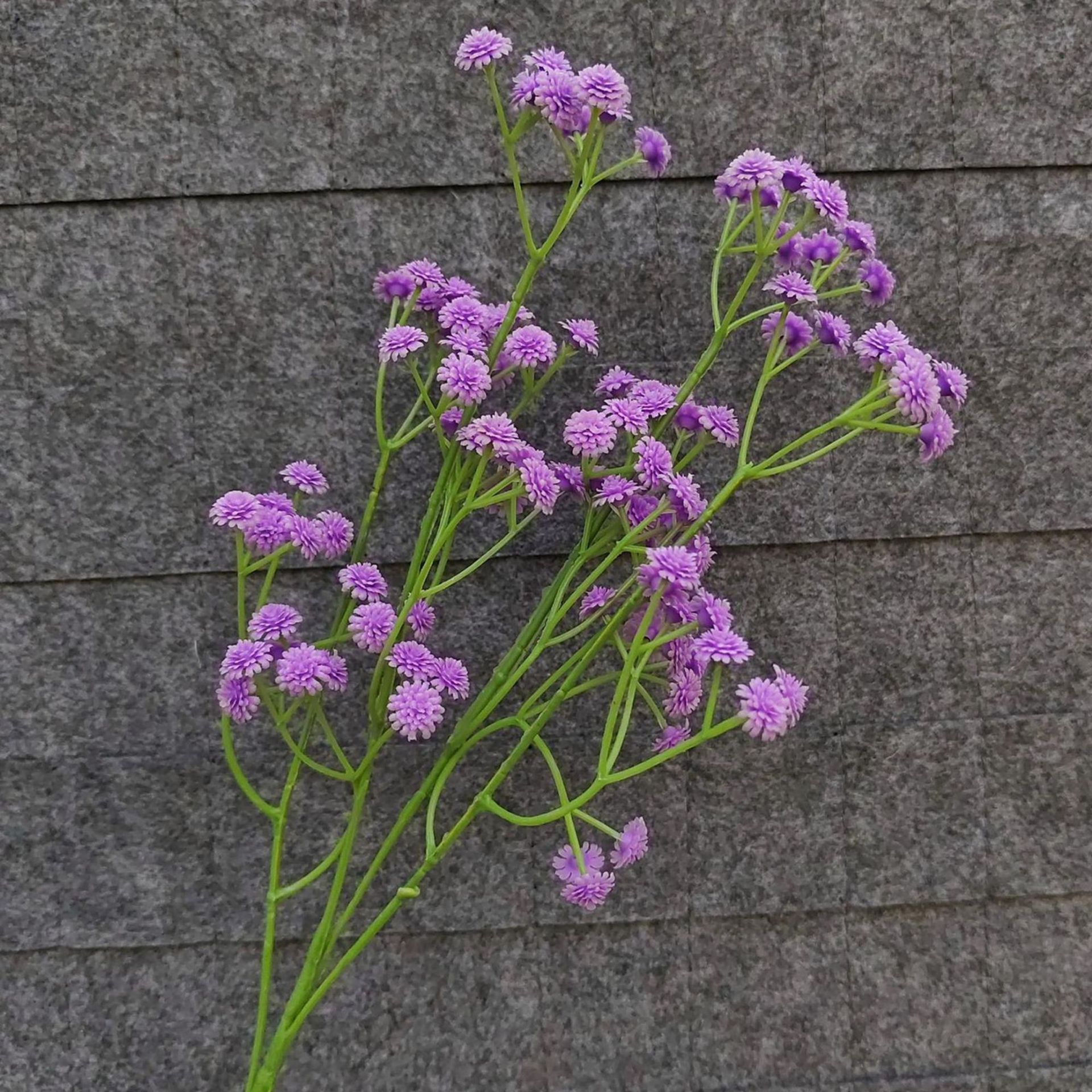 Gypsophile violet à colle souple - 62 cm