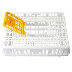 Durable coop plastic pigeon cage with factory price quail cage transportation