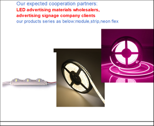 High Brightness 150000MCD SMD LED Module IP68 Blue/Green/Red/Yellow/Natural White 2700K for Outdoor Backlight <b>Advertising</b> - Product Image 5