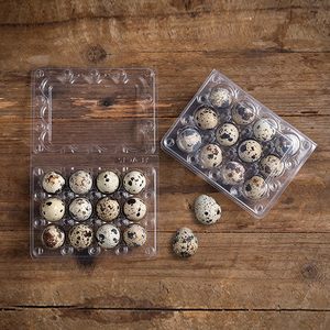 Boîtes d'emballage en plastique PET pour 6, 12, 18, 24, 30 œufs de caille, vente en gros directe usine pour œufs de caille géants et œufs de pigeon - Product Image 2