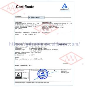 كابل كهربائي نحاسي من مصنع قوانغدونغ للأسلاك، 2.5 مم و4 مم و6 مم، كابل شمسي كهروضوئي في الفلبين - Product Image 6