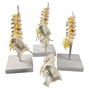 Abnehmbares kleines Becken mit Lenden gurt-Leichte Unterstützung für unteren Rücken und Becken - Product Image 6