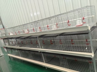 Nouvelle cage à poulets automatique de type H en acier galvanisé, conception à 3-8 niveaux, capacité de 90 à 200 poulets, facile à nettoyer