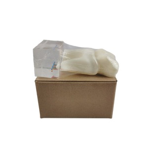 Modèle anatomique en résine du nerf dentaire à six plis M7023 pour l'enseignement dentaire - Product Image 5