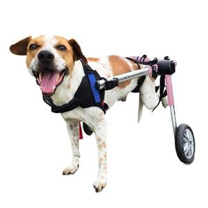 Carrito <span class=keywords><strong>para</strong></span> mascotas ajustable personalizado ODM OEM, soporte <span class=keywords><strong>para</strong></span> piernas <span class=keywords><strong>de</strong></span> perro y soporte <span class=keywords><strong>para</strong></span> cadera <span class=keywords><strong>de</strong></span> gato, soporte <span class=keywords><strong>para</strong></span> patas traseras, <span class=keywords><strong>silla</strong></span> <span class=keywords><strong>de</strong></span> <span class=keywords><strong>ruedas</strong></span> paralizada <span class=keywords><strong>para</strong></span> mascotas - Product Image 1