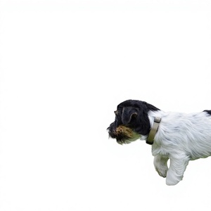 Malla de Seguridad para Jardín, Ecológica, Resistente a la Intemperie, a Prueba de Descomposición, Rollo de Plástico para Cercas de Perros, Barrera para Animales en Exteriores, Reutilizable - Product Image 1