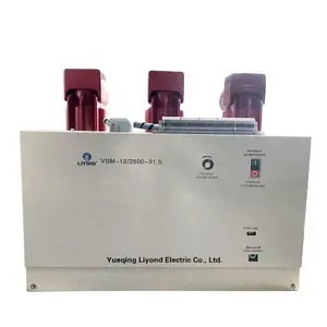 Liyond VSM-12 Dalam Ruangan 10kV 11kV 12kV Aktuator Magnetik Permanen PMA VCB Pemutus Sirkuit Vakum Tipe Tetap