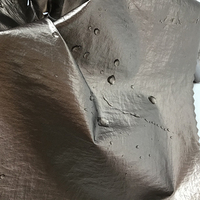 Tissu tissé froissé en nylon 100% pour femmes à la mode classique avec revêtement en polyuréthane de transfert imperméable à la sensation de peau brillante pour une utilisation dans un sac
