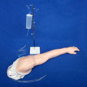 Mô Hình Đào Tạo Arm <span class=keywords><strong>IV</strong></span> Đầy Đủ Chức Năng Tiêm Tĩnh Mạch Và Tiêm - Product Image 2