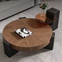 Ensemble de table basse en noyer minimaliste italien, nouvelle table ronde rétro de luxe léger pour petit salon