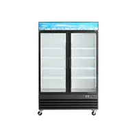 Frud — réfrigérateur à deux portes en verre Vertical réglable, réfrigérateur tendance Commercial, nouvel arrivage 2022