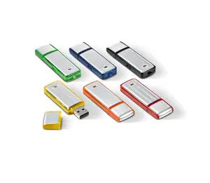 Pabrik Kapasitas Penuh USB Key Flash Drive 1Gb 2Gb 4Gb