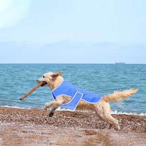 Veste légère instantanée de refroidissement de chien de protection solaire de microfibre évaporative d'été extérieur - Product Image 6
