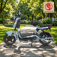 Vélo électrique deux places pour adultes, cadre résistant à l'usure, pneus, panier de chargement avant, personnalisable ODM pour les trajets quotidiens en ville et usage professionnel