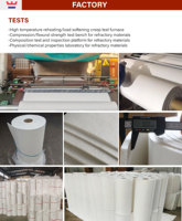 Papier en Fibre Céramique de Fabricant Chinois, 160kg/m3, 1430 ℃ Convient pour l'étanchéité des revêtements des fours et des fours industriels.