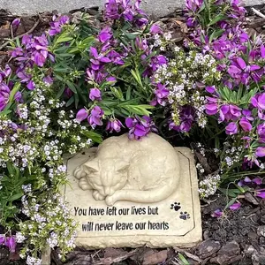 Güzel anılar yazıt ile reçine ışıklı kedi heykeli hayvan modeli anıt fotoğraf çerçevesi <span class=keywords><strong>Pet</strong></span> hatırlama için Set - Product Image 5