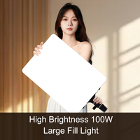 Lampe Vidéo LED Panneau Plat Beiyang 19 Pouces 85W, Modèle à Bouton, avec Télécommande, Éclairage de Photographie pour Studio Photo