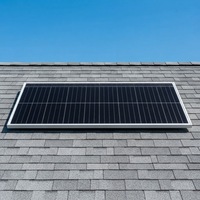 Panel Solar de Doble Vidrio BC de Grado Industrial, Vidrio Templado Grueso Anti-UV, Celda BC Tipo N con Baja Degradación Anual