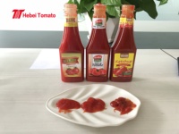 Ketchup Classique Premium 340gr en Bouteille Souple pour Burgers et Frites