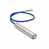 Vibrating Wire Piezometer Stainless Steel Pore Water Pressure Sensor IP66 0.1% FS Accuracy for Dam Tunnel Slope Monitoring