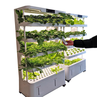 AM5 Télécommande Détachable Intérieur Intelligent Multi-Couche Vertical Système de Culture Hydroponique Équipement pour Fruits et Légumes