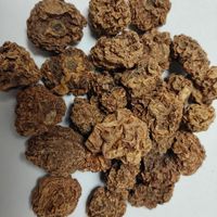 Produit phare : Fruits de Matatabi (Actinidia Polygama) séchés, fruits de galle d'insecte, pour la décompression des chats, AD Brut