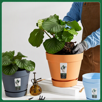 Pot Bunga PP Bentuk Meruncing dengan Alas Terintegrasi, Lubang Drainase, Finishing Matte, Untuk Penggunaan di Lantai, Ukuran Besar, Ramah Lingkungan, Untuk Berkebun di Rumah