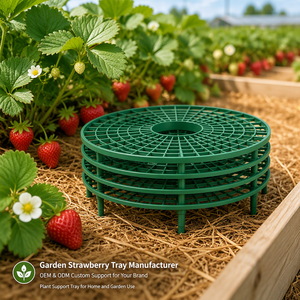 Soportes para Plantas de Fresa con 4 Patas Resistentes que Brindan Protección para las Fresas Contra el Moho, la Podredumbre y la Suciedad - Product Image 6