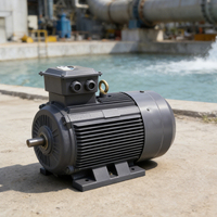 Moteur électrique à induction triphasé 4 kW 11 kW 15 CV 2/4/6 pôles 220-380 V 50 Hz 60 Hz 1500 tr/min Monophasé Triphasé