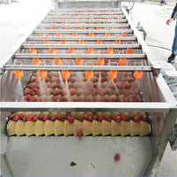Machine de traitement du garri de petite taille 600 mm, rouleau brosse, machine à laver les ignames, le manioc, les patates douces, les légumes et les fruits