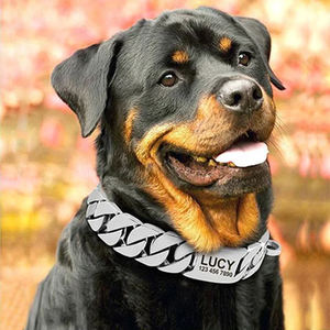 골드 개 체인 목걸이 개인화 된 이름 32mm 와이드 스테인레스 스틸 씹는 증거 훈련 대형견을위한 애완 동물 체인 고리 - Product Image 2