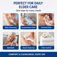 Lingettes nettoyantes extra douces écologiques pour adultes, OEM ODM, jetables dans les toilettes, pour l'incontinence, sûres pour les fosses septiques, pour le lit et le bain, désodorisantes