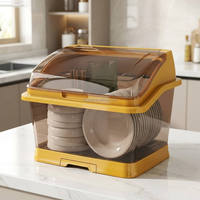 Égouttoir à vaisselle réglable en plastique PP non pliable pour armoire de cuisine, séchage et rangement de la vaisselle pour usage domestique quotidien, vente en gros