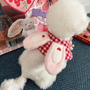 Cute Plaid Rabbit Cape For Pets Red Lattice Pattern Decorative Bib All Seasons Pet <b>Clothes</b> - Product Image 1