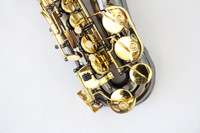 Good Quality Chinese Professional Accessories Eb Tone Alto Saxophone for Sale Suitable Price Alto Saxophone with Case