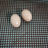 Tapis de nidification pour poules pondeuses, tapis de cage en PVC, tapis en herbe artificielle, tapis de paille pour la ponte des poules et du bétail