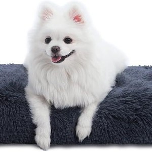 Cross-border <b>dog</b> sleeping mat, cat floor mat, all-season <b>dog</b> bed, <b>dog</b> mat, wear-resistant, waterproof, urine-proof, for <b>sofas</b> - Product Image 3