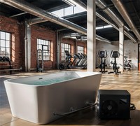 Baignoire de thérapie par le froid autoportante en acrylique sur mesure Himalaya IceTech Factory OEM avec 10 jets et refroidisseur d'eau intelligent Wi-Fi