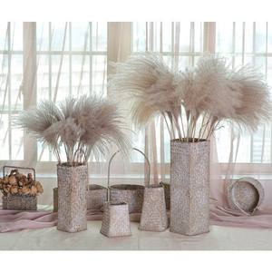 <span class=keywords><strong>Bouquet</strong></span> immortel en roseau naturel, décoration <span class=keywords><strong>de</strong></span> fenêtre, ornements, fouet en <span class=keywords><strong>épi</strong></span> <span class=keywords><strong>de</strong></span> <span class=keywords><strong>blé</strong></span>, fleur séchée, technique pastorale, Chine, gratuit - Product Image 2