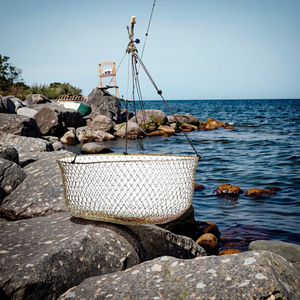 Panier de pêche <span class=keywords><strong>en</strong></span> métal pour crabes et homards, grande capacité 3315T HASIDA, accessoires de pêche pour rivière, lac, ruisseau - Product Image 3
