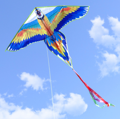 2 Cerfs-volants Papillon Simxkai - 91m De Ligne Inclus
