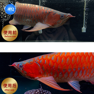 ไฟ LED สำหรับตู้ปลาอะโรวาน่า รุ่นขั้นสูง ช่วยเพิ่มสีแดงและสีทอง ช่วยส่งเสริมสุขภาพและการเจริญเติบโต น้ำหนักเบา ใช้ได้ทั้งภายนอกและบนโต๊ะ - Product Image 4