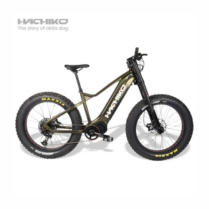 Vélo de montagne H-ZC H-ZC en aluminium avec moteur central puissant de 1000 W, populaire, 26 pouces, 12 vitesses, tout-terrain - Product Image 2