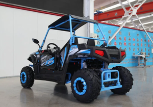 รถอเนกประสงค์สำหรับผู้ใหญ่ UTV รุ่นใหม่สมรรถนะสูง 250 ซีซี  แบบ 2 ที่นั่ง  วัสดุพลาสติก  สำหรับขับขี่บนถนนและทุกสภาพพื้นผิว  รับประกัน 3 ปี  OEM DIY - Product Image 4