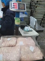 Graisse de Queue d'Agneau Halal Congelée de Haute Qualité à Bon Prix, Graisse de Queue d'Agneau Surgelée Disponible à la Vente