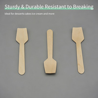 Spatule carrée miniature en bois de bouleau 70mm 95mm, pelle à glace jetable en bois, cuillère à dessert biodégradable pour dégustation, ustensiles